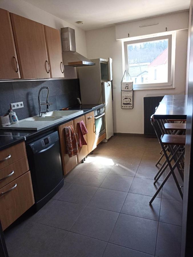Appartement Gauche Avec Balcon Hargarten-aux-Mines Exteriör bild